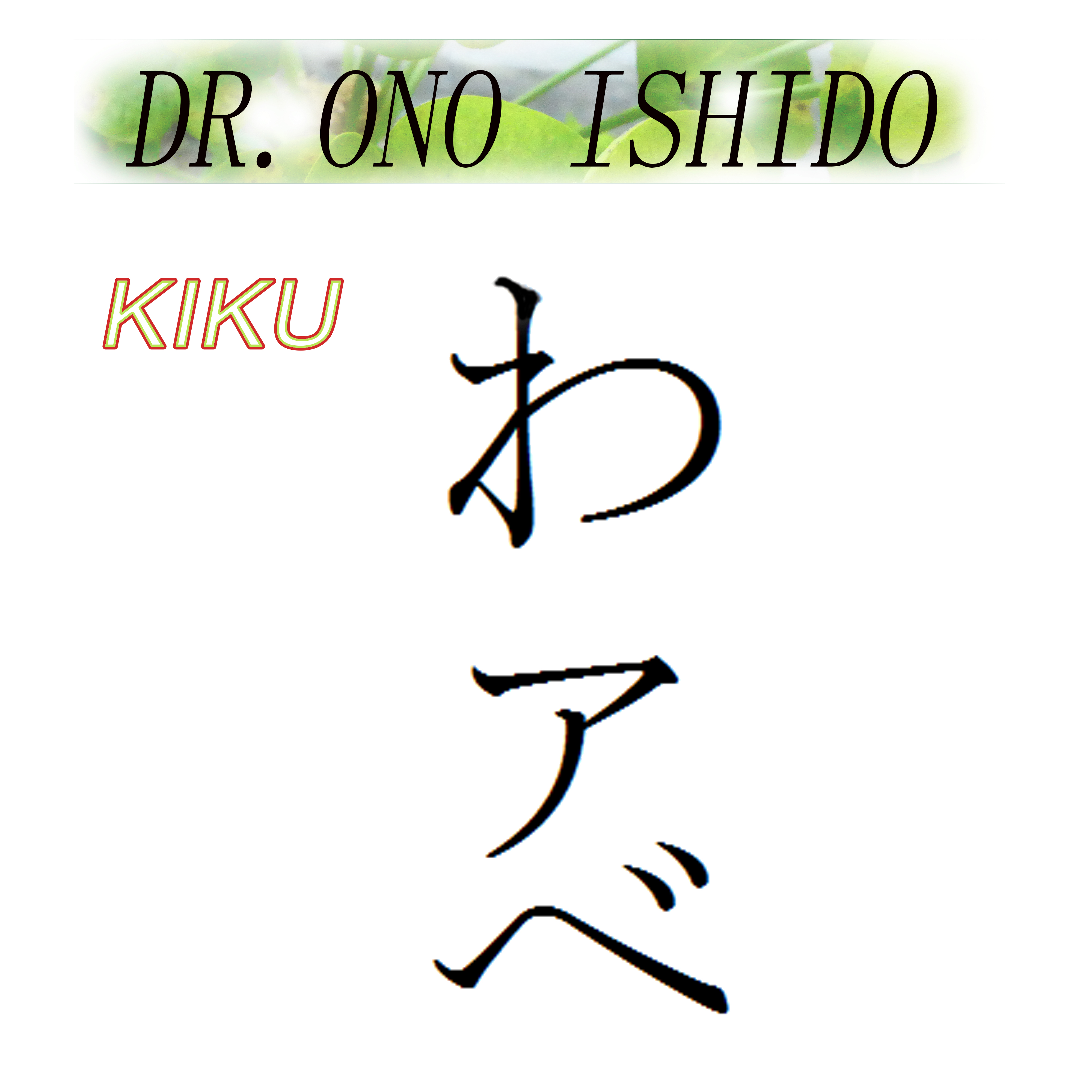 DR ONO ISHIDO